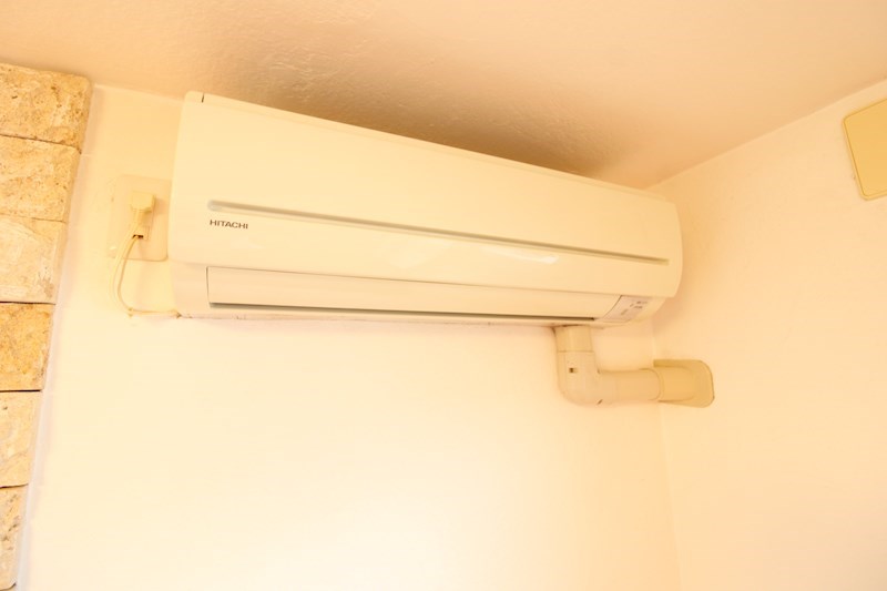 ｉｒｉｅ　ｇａｒｄｅｎ その他11