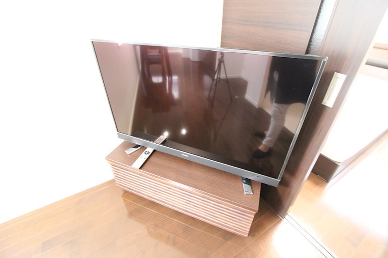 キーウエスト鐙 その他9