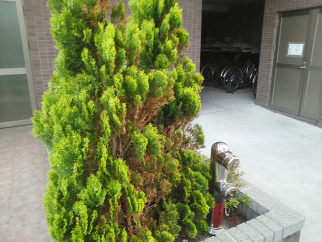 アメニティ万代 その他9