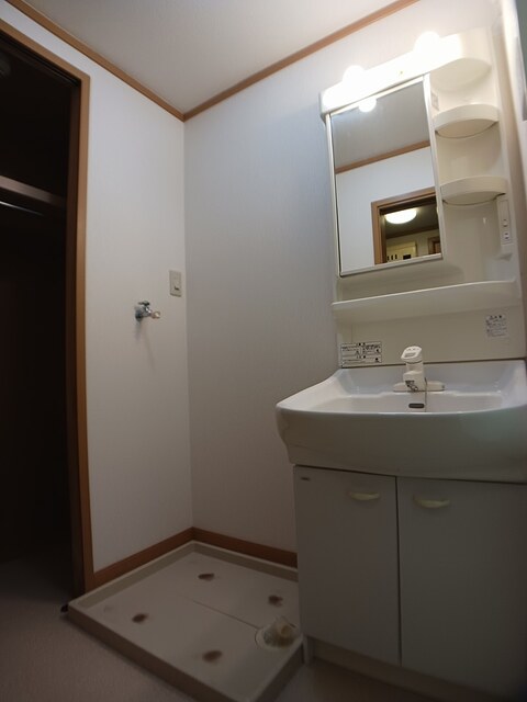 プルメーリア その他1