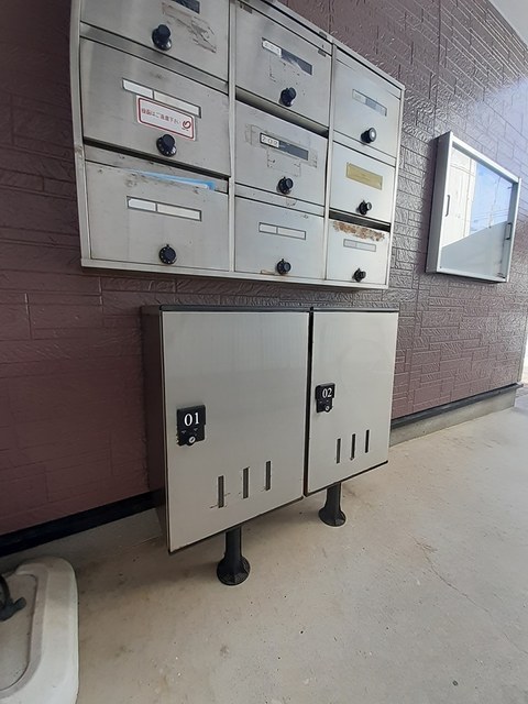 プルメーリア その他6