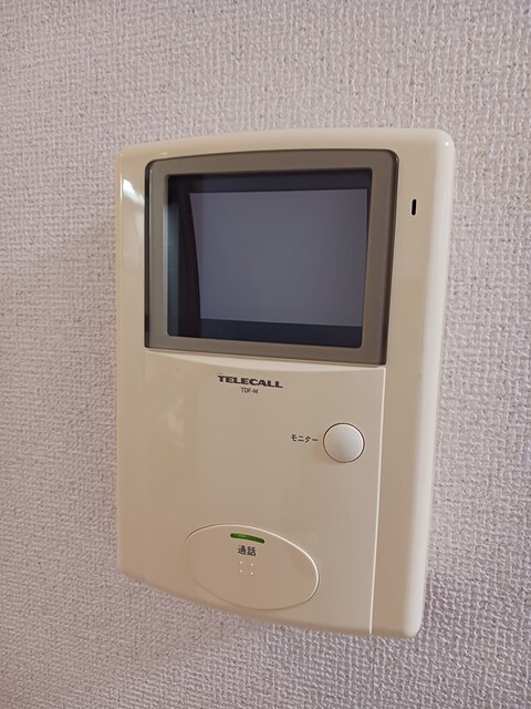 プルメーリア その他7