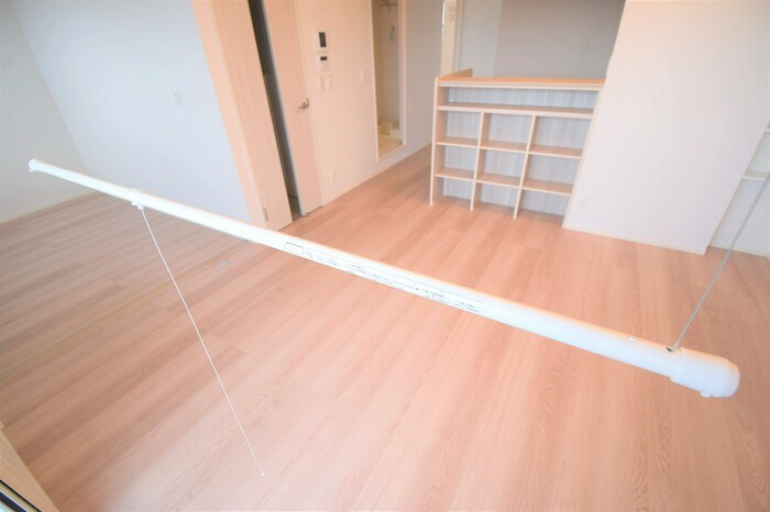 Hanano(ハナノ)・Sayume(サユメ) その他21