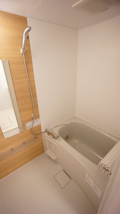 フィラエ その他4