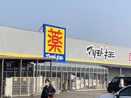 Sky Terrace　Ⅰ 周辺画像2