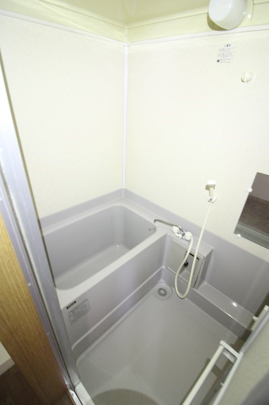 ヨーロピアンフルフル その他4