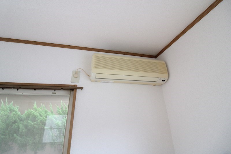 ヨーロピアンフルフル その他15