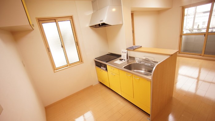 セジュールコスモス その他2