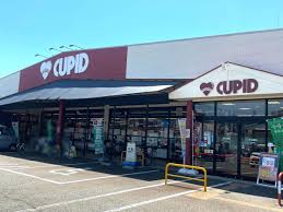 グランコート藤 周辺画像4