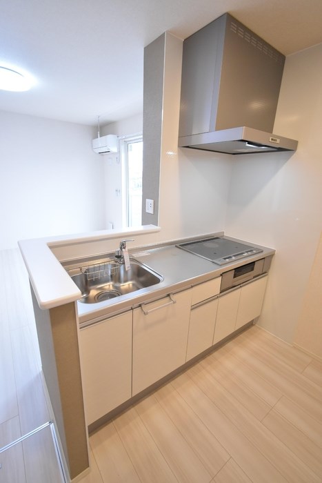 アルブル・カメリア　Ⅱ その他3