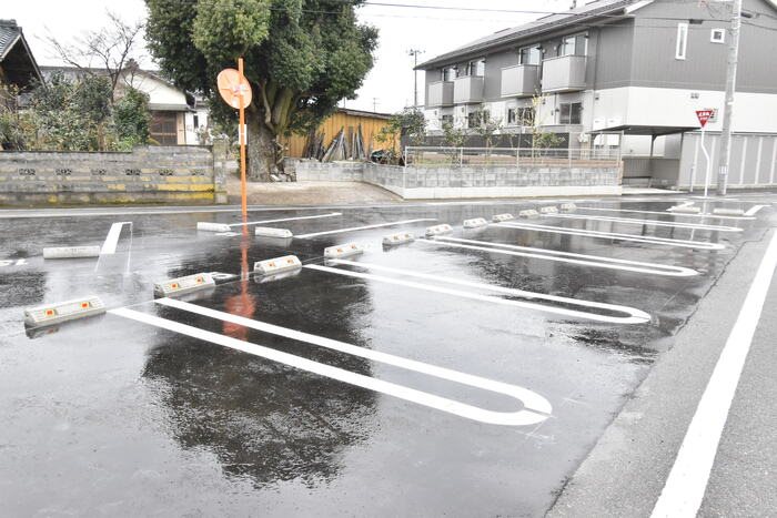 アルブル・カメリア　Ⅱ その他12