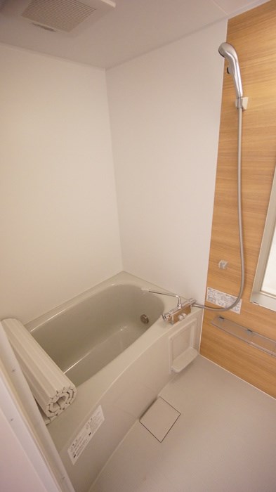 フィラエ その他4