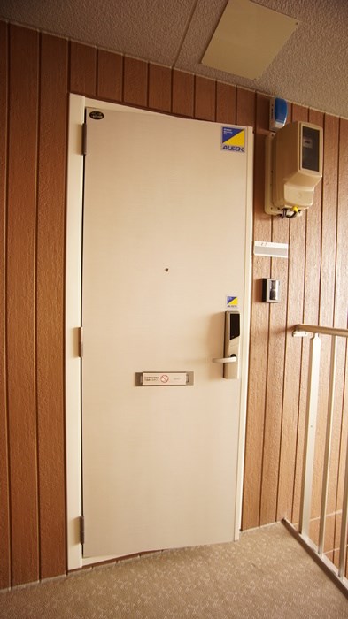 フィラエ その他14