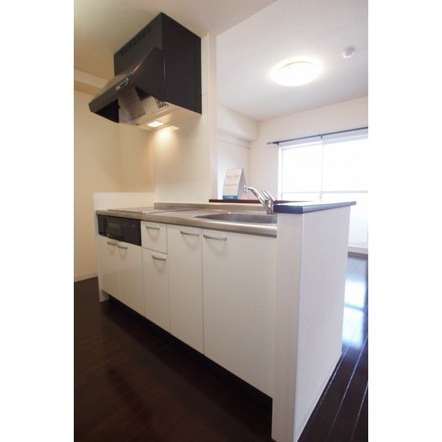 フェリシア鐙 その他2