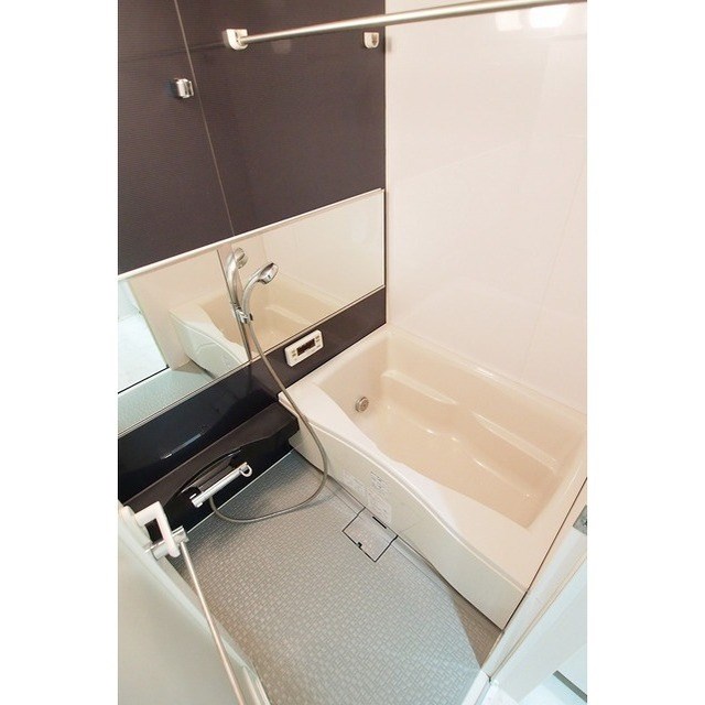 フェリシア鐙 その他3