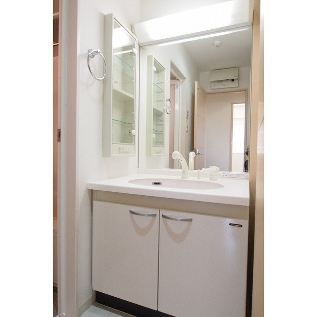 フェリシア鐙 その他5