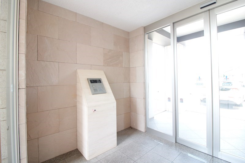 フェリシア鐙 その他12