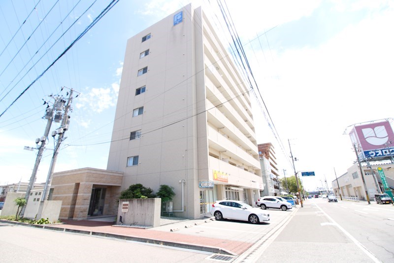 フェリシア鐙 その他13