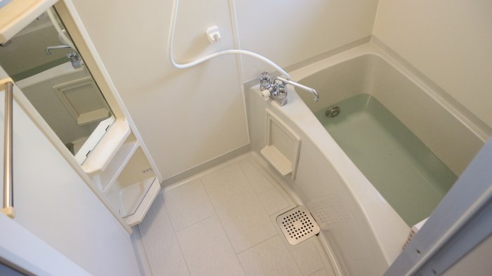 サフラン　A その他4