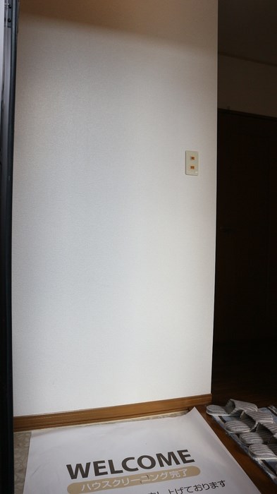 サフラン　A その他14