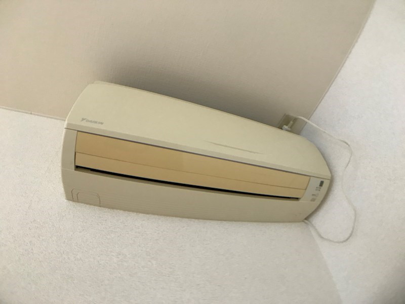 アーリーバード その他15