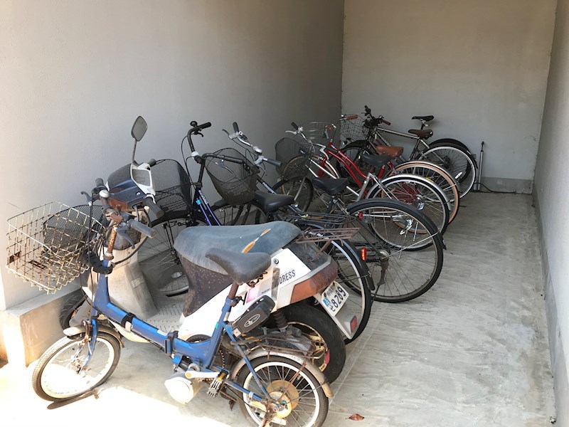 アーリーバード その他17