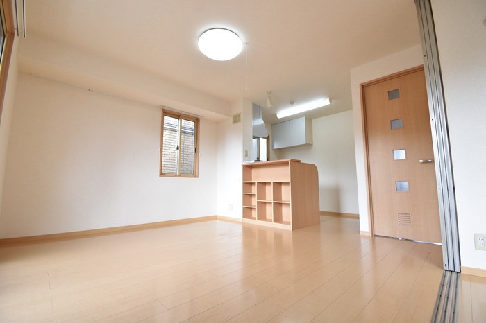 リュージュC その他1