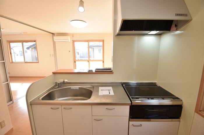 リュージュC その他2