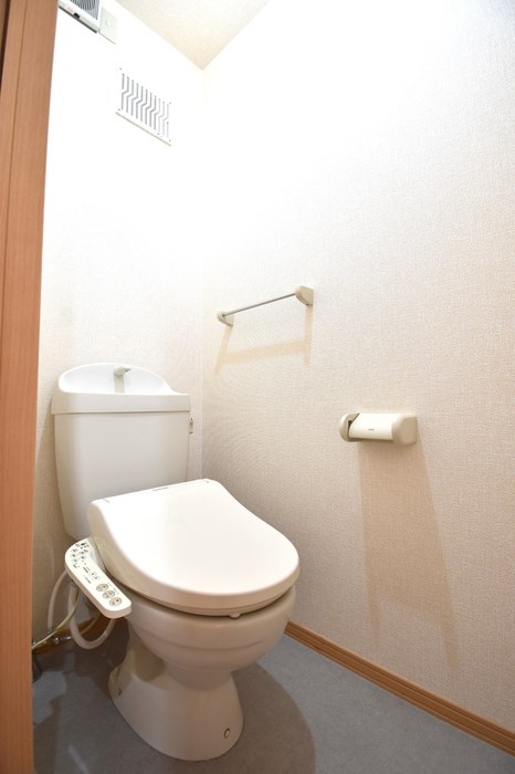 リュージュC その他4