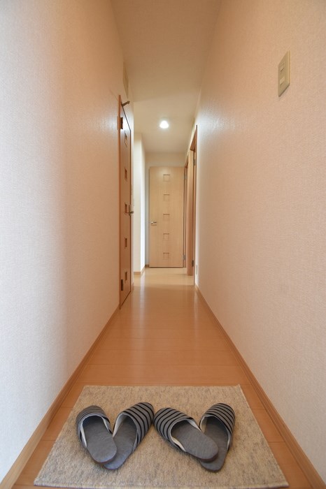 リュージュC その他10