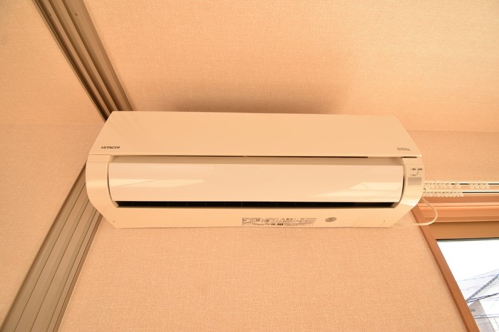 リュージュC その他20