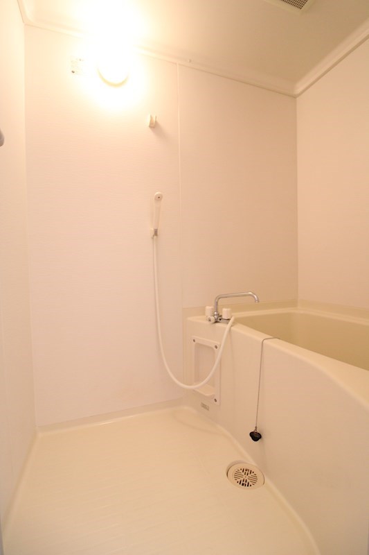 ハイライフ紫竹山A その他4