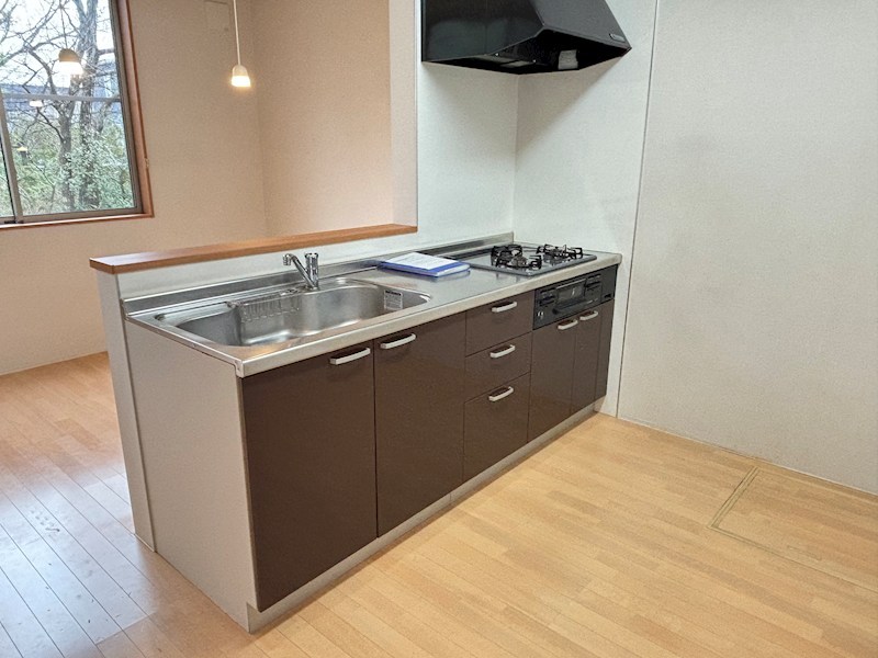 グリーンホームズⅡ その他2