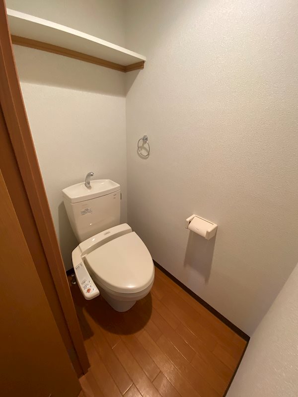 グラシア その他4