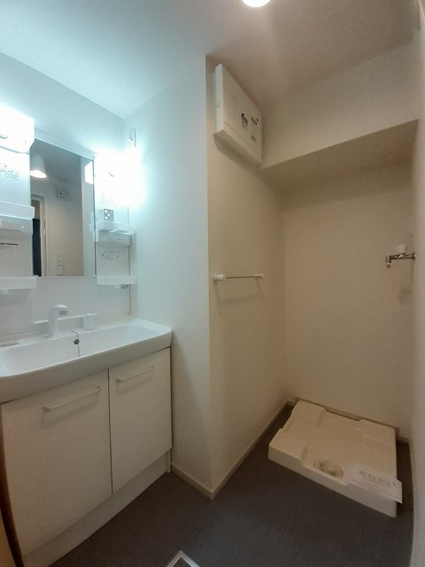 ペルトⅡ その他1