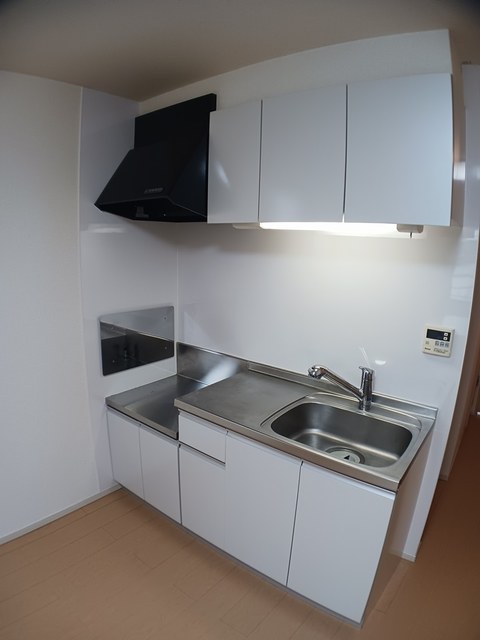 ラ・フィエスタⅣ その他1