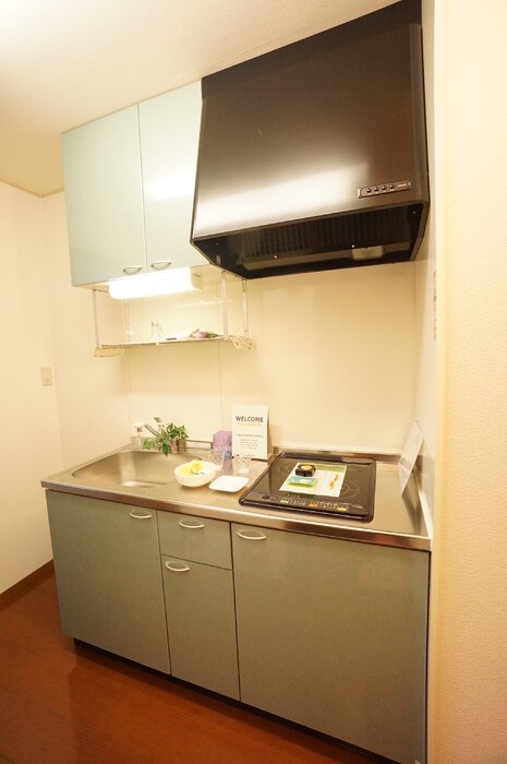 リビングカメリアA その他2