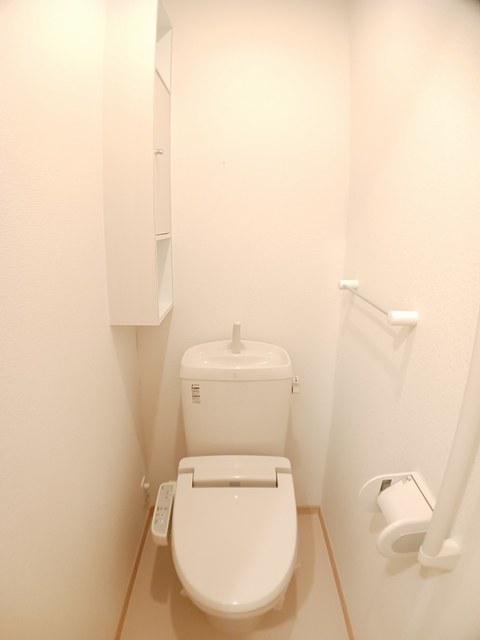 星六もみじ その他4