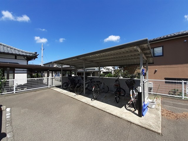 星六もみじ その他8