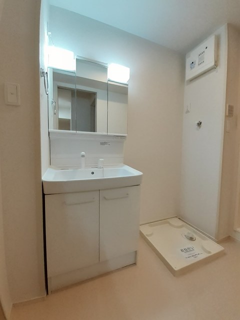 プラム　アライブ その他1