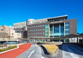 スカイオン本町 周辺画像6