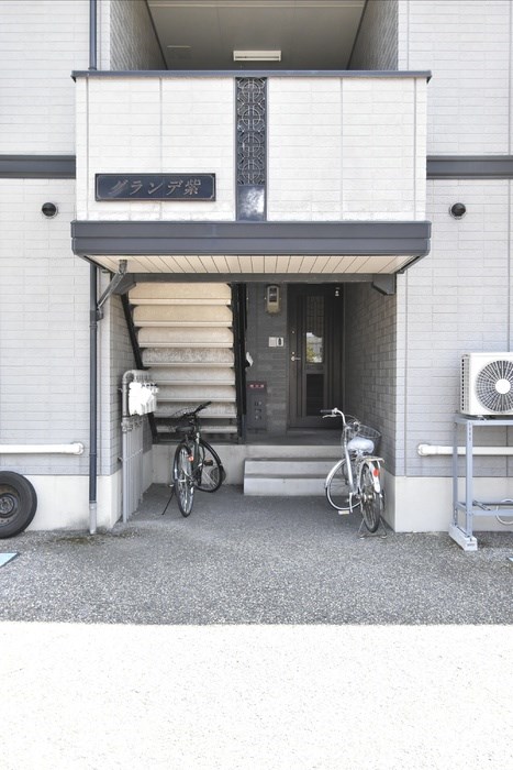 グランデ紫 その他14