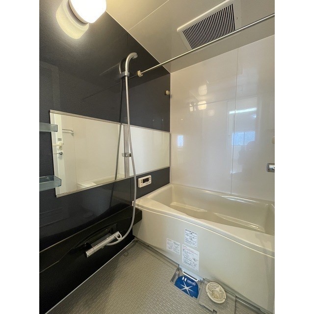 フェリシア鐙 その他3