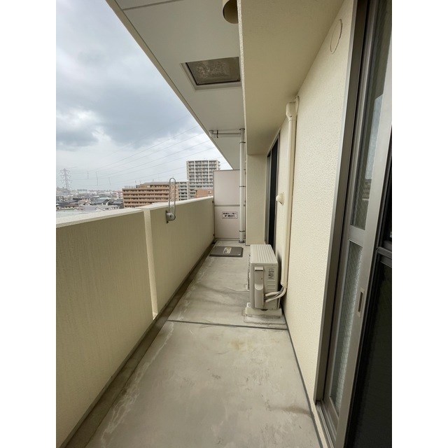 フェリシア鐙 その他9