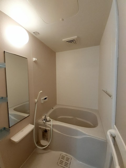 パレウエスト 風呂画像