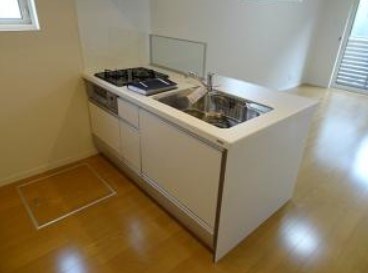 プルメリアB その他2