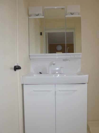 プルメリアB その他4