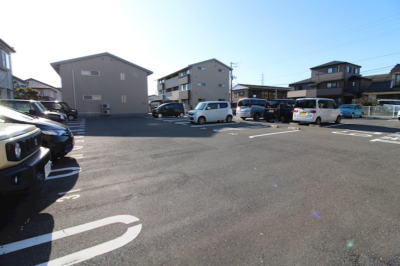 プルメリアB その他11