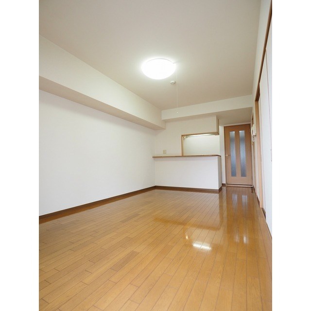 ディナミス その他1