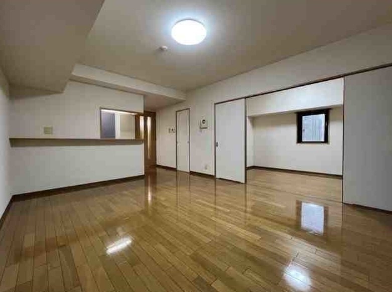 ディナミス その他1